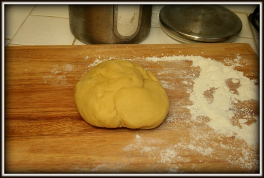 Homemade Pasta Dough by Dandeion Daze